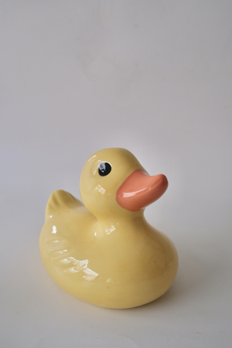 The Big Duck