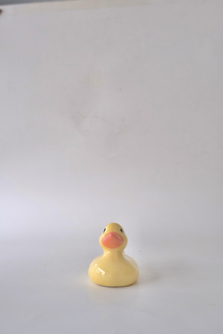 The Smol Duck