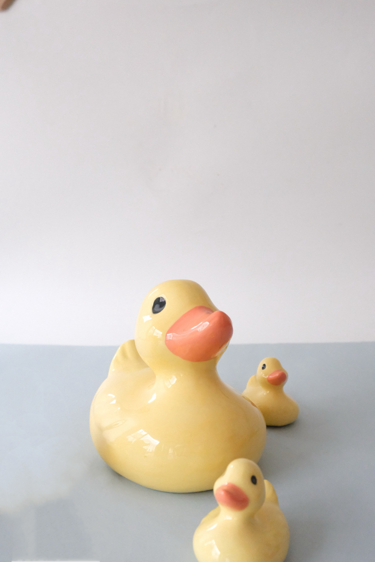 The Duck Family