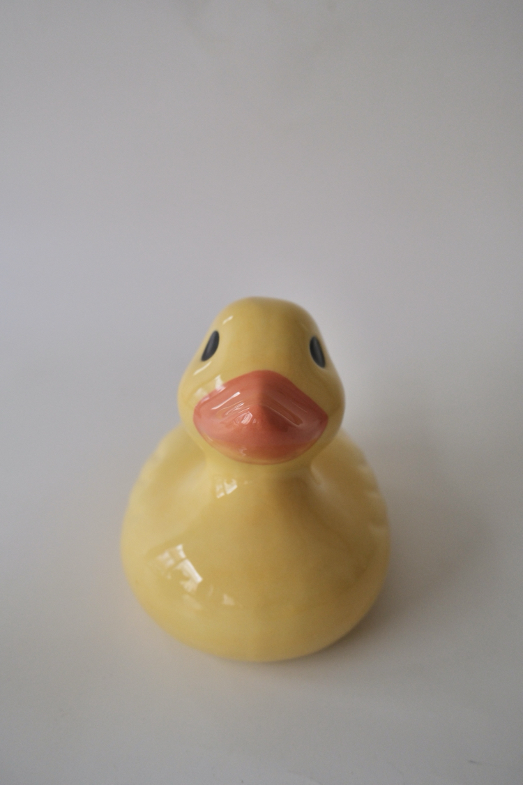 The Big Duck