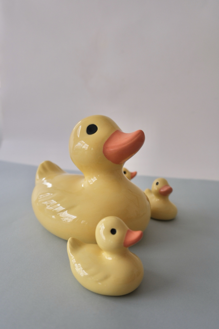 The Smol Duck