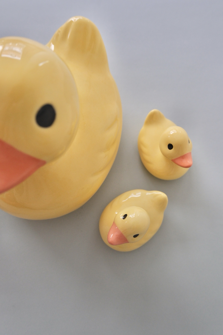 The Duck Family