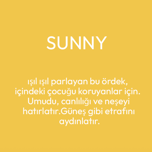 Sunny