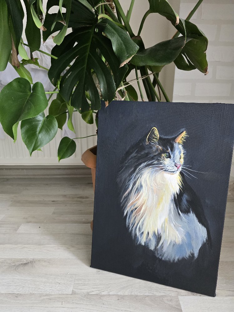 Kedi Portresi – Orijinal Akrilik Tablo | 35×50 cm