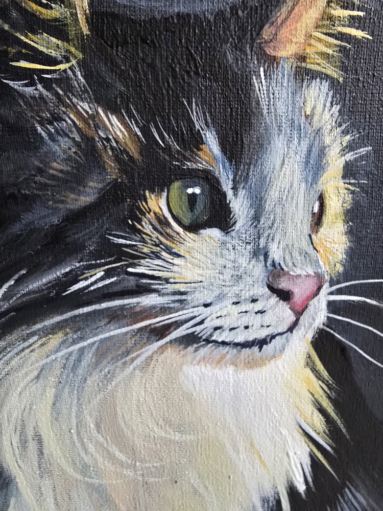 Kedi Portresi – Orijinal Akrilik Tablo | 35×50 cm