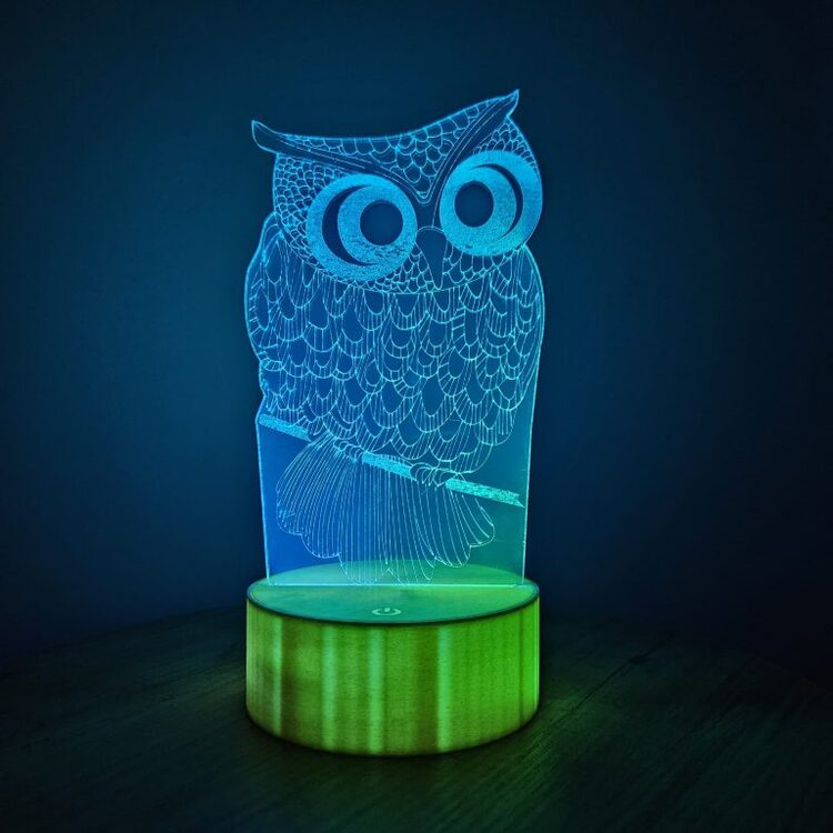 JetJest Baykuş Temalı 3D İllüzyon Akrilik RGB Gece Lambası