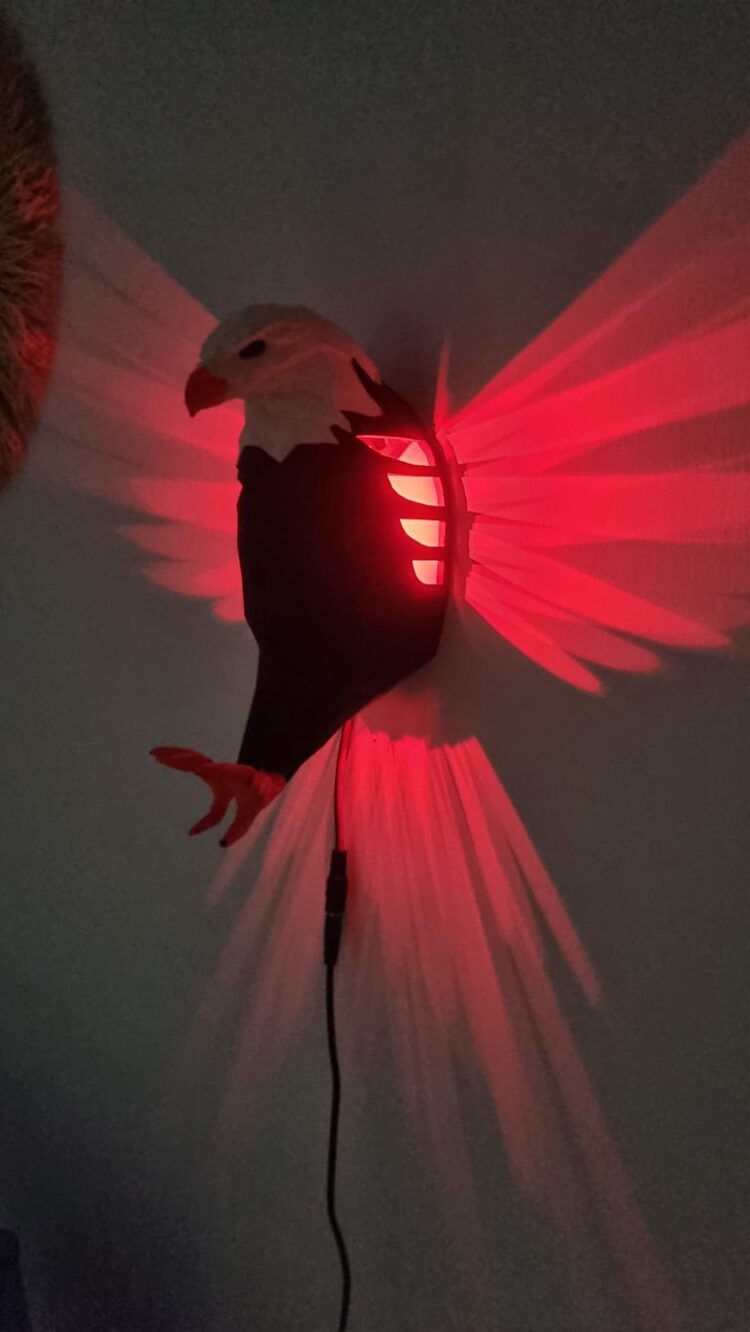 JetJest Kartal LED Gece Lambası – RGB, Kumandalı