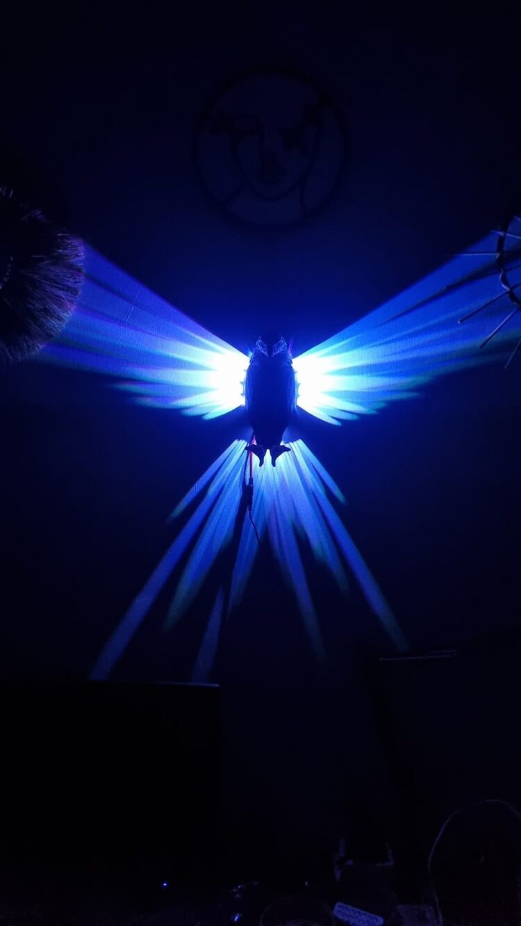 JetJest Kartal LED Gece Lambası – RGB, Kumandalı
