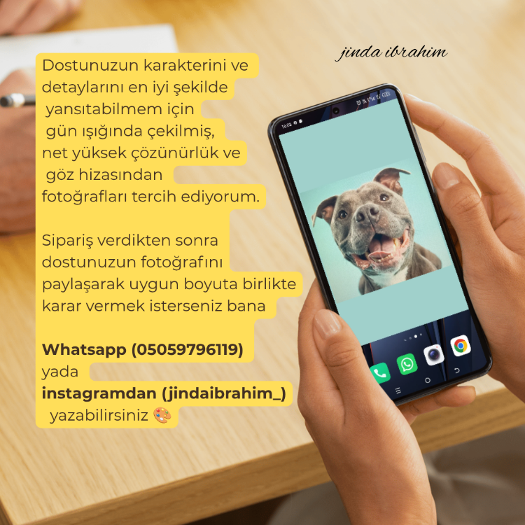 Hayvan Portresi | Kağıt