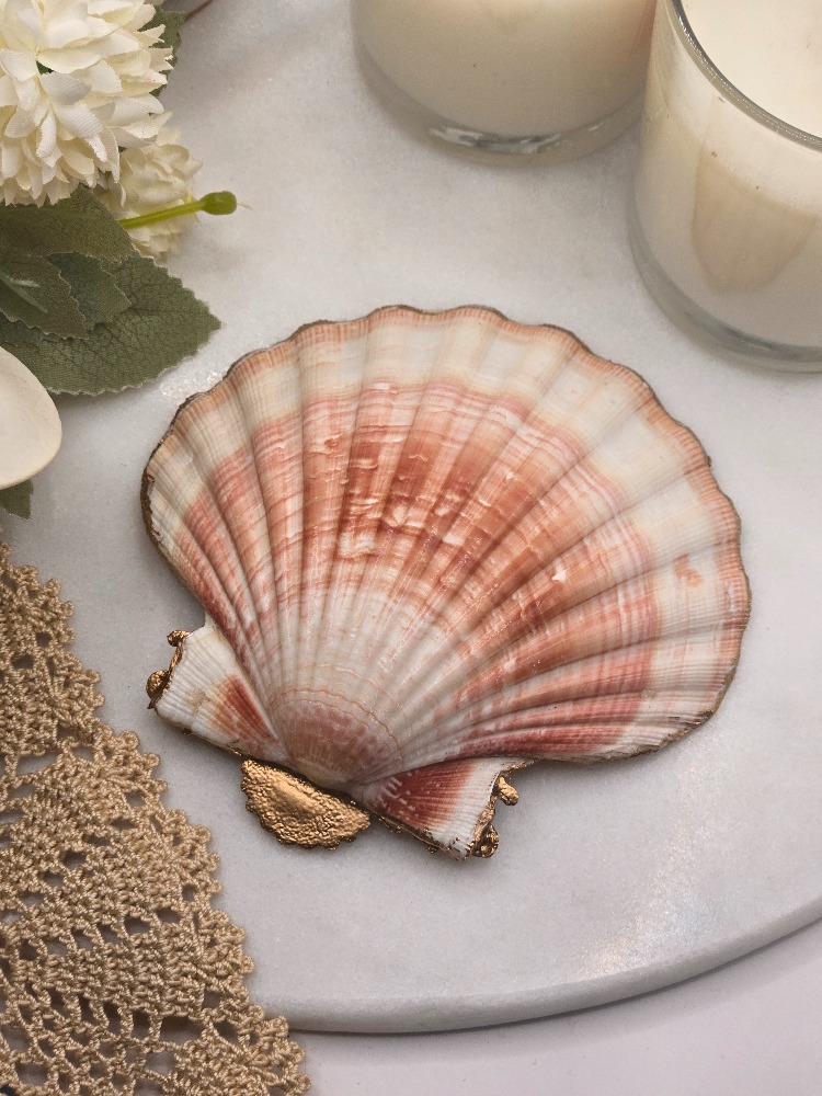 Kırmızı Mercan