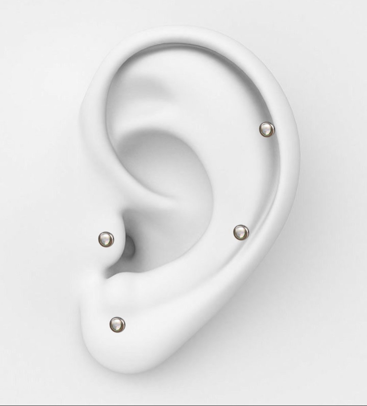 Abalon Kabuğu Piercing - Aley X Kaaida
