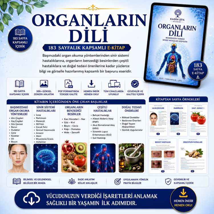 Organların Dili | 183 Sayfalık Kapsamlı Dijital E-Kitap (PDF) | Başvuru Rehberi