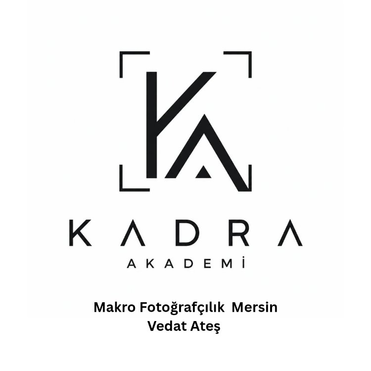 Mersin Yüzyüze Makro Fotoğraf Eğitimi - Eğitmen: Vedat Ateş