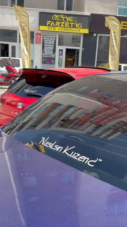 Nasılsın kuzen Sticker
