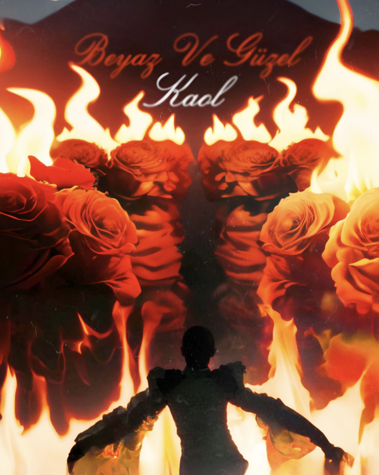 BEYAZ VE GÜZEL LIMITED EDITION /// POSTER 3