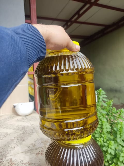 Premium Soğuk Sıkım Zeytinyağı