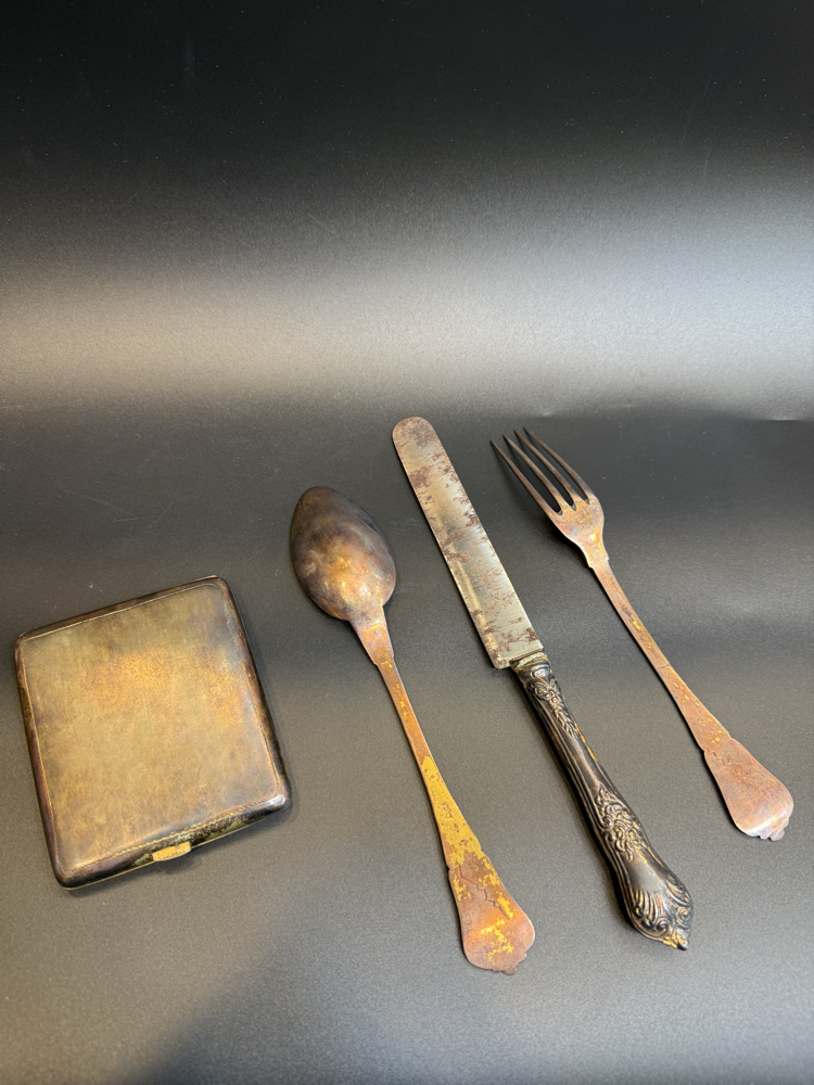 Gümüş tuğralı set
