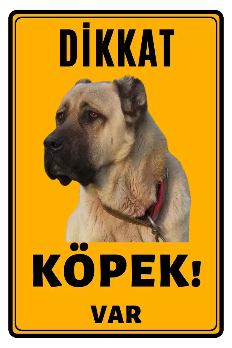 Dikkat Köpek Var Laminasyon Kaplamalı Kenarları Delikli(Kendi Köpeğin Resmiyle)