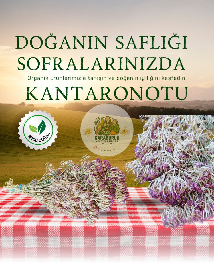 Karaburun Kantaron Otu ( 1 Bağ )