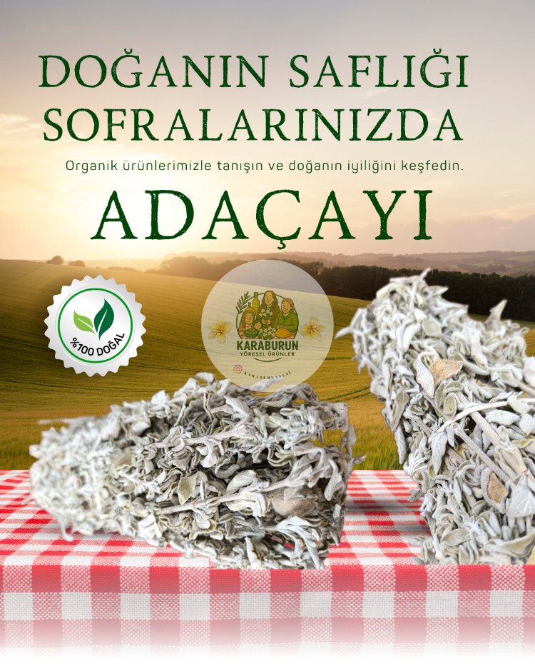 Karaburun Adaçayı ( 1 Bağ )