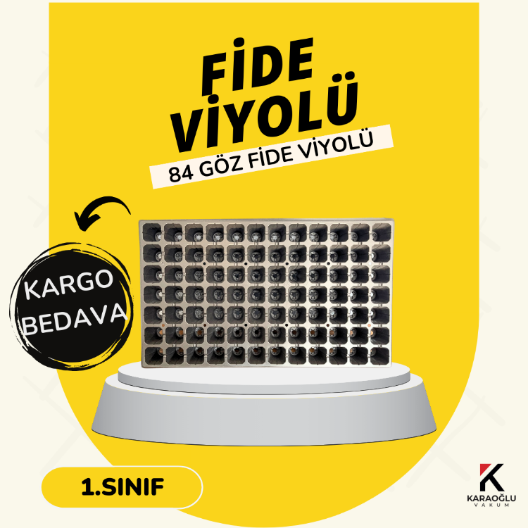 84 GÖZ FİDE VİYOLÜ 100 ADET