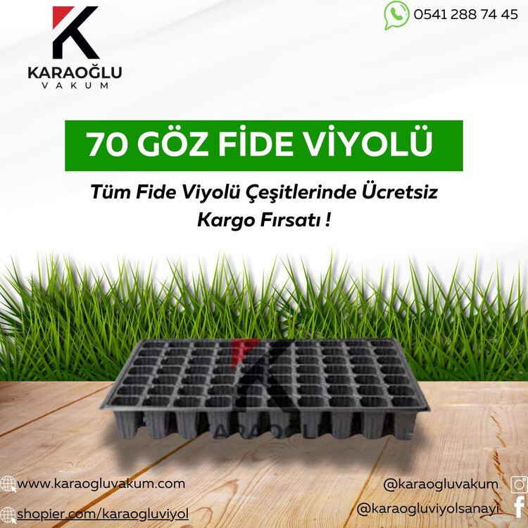 70 GÖZ FİDE VİYOLÜ 30 LU PAKET