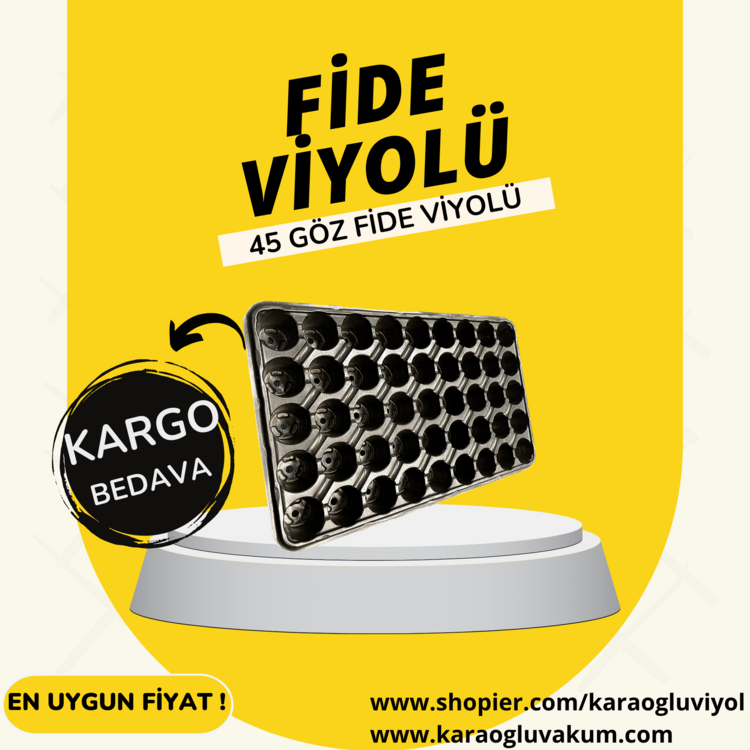 45 GÖZ FİDE VİYOLÜ (45GF100A) 100 ADET