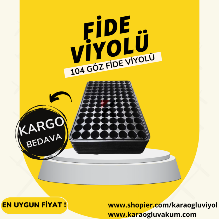 104 GÖZ FİDE VİYOLÜ 40 'LI PAKET