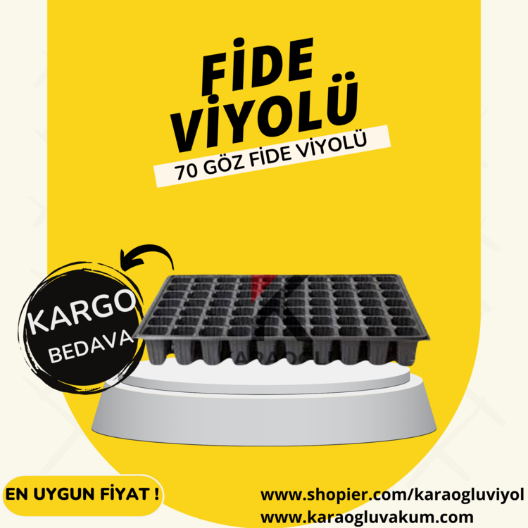 70 GÖZ FİDE VİYOLÜ (70GF100A) 100 'LÜ PAKET