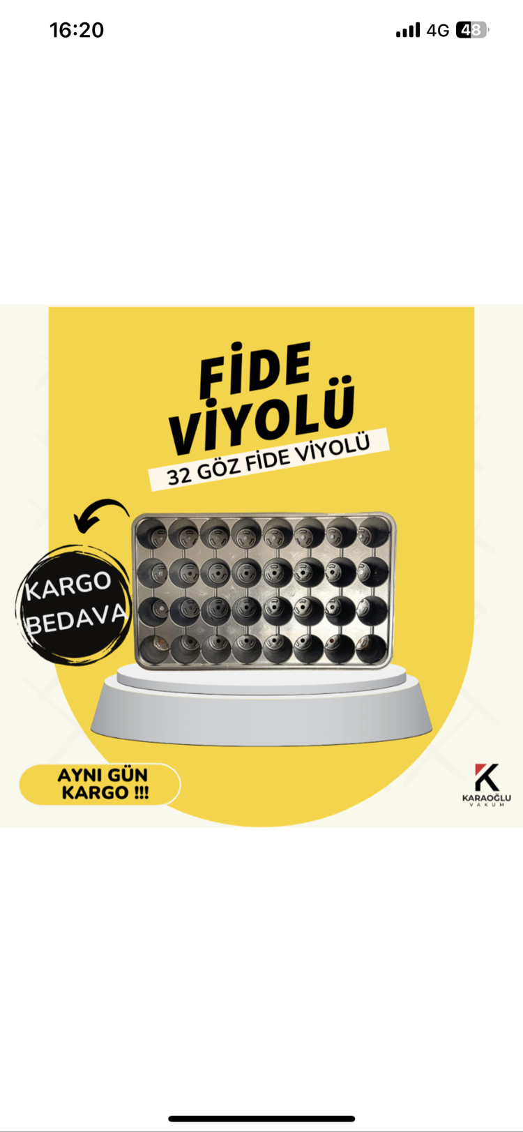32 Göz Fide Viyolü 100 ADET