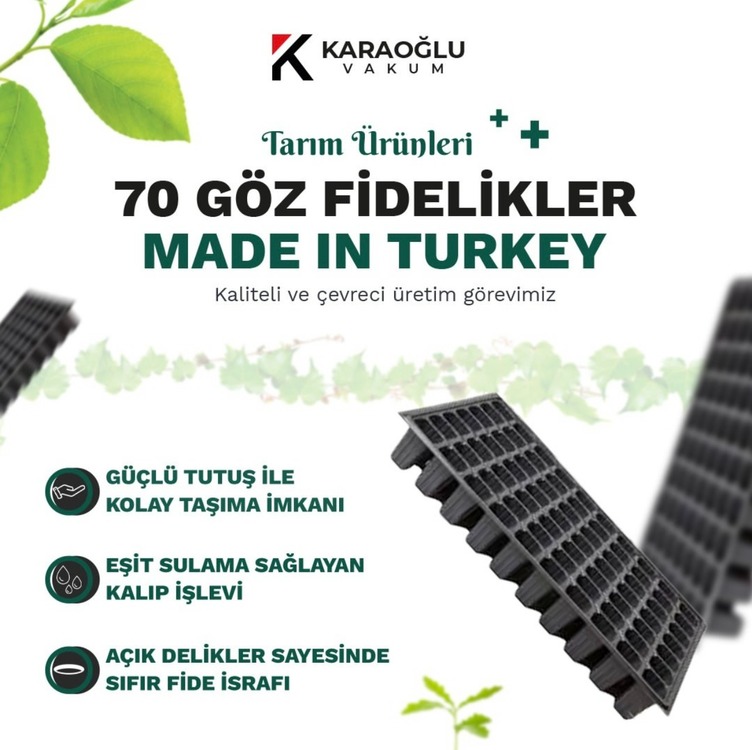 70 GÖZ FİDE VİYOLÜ (70GF100A) 100 'LÜ PAKET