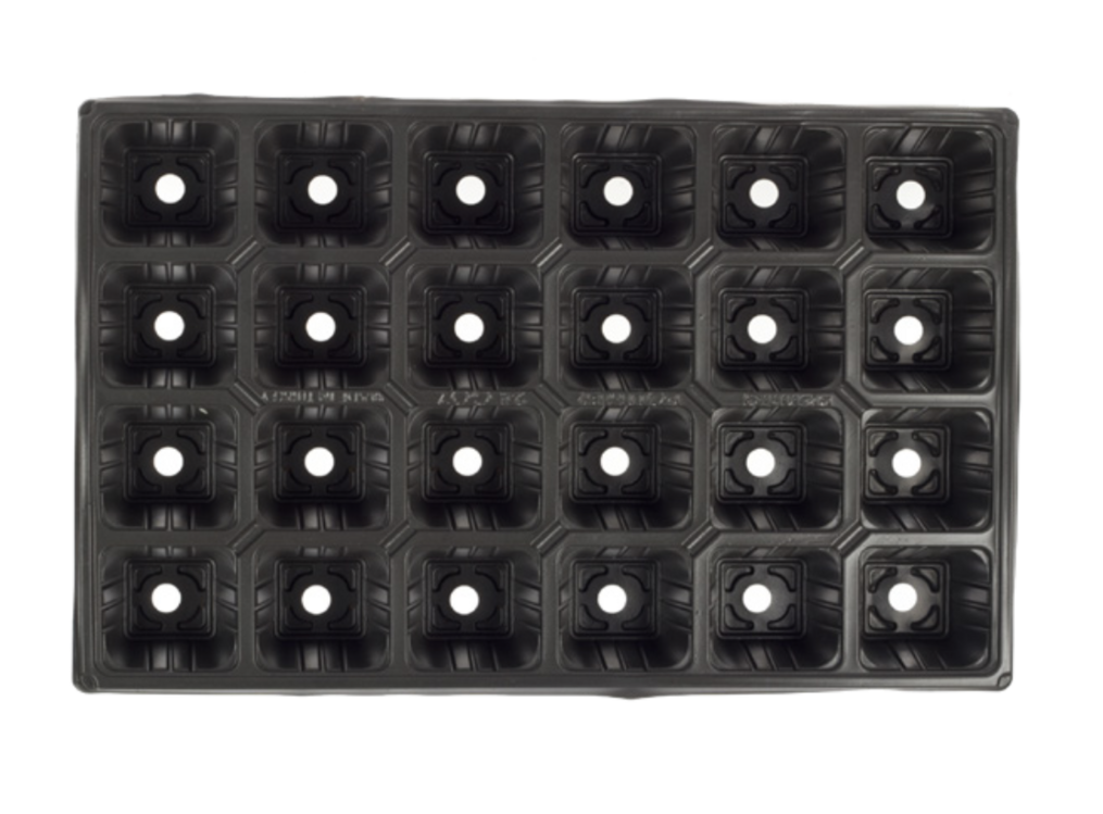 24 GÖZ KARE FİDE VİYOLÜ (24GF100A) 100 ADET