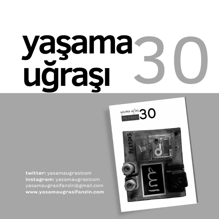 Yaşama Uğraşı 30