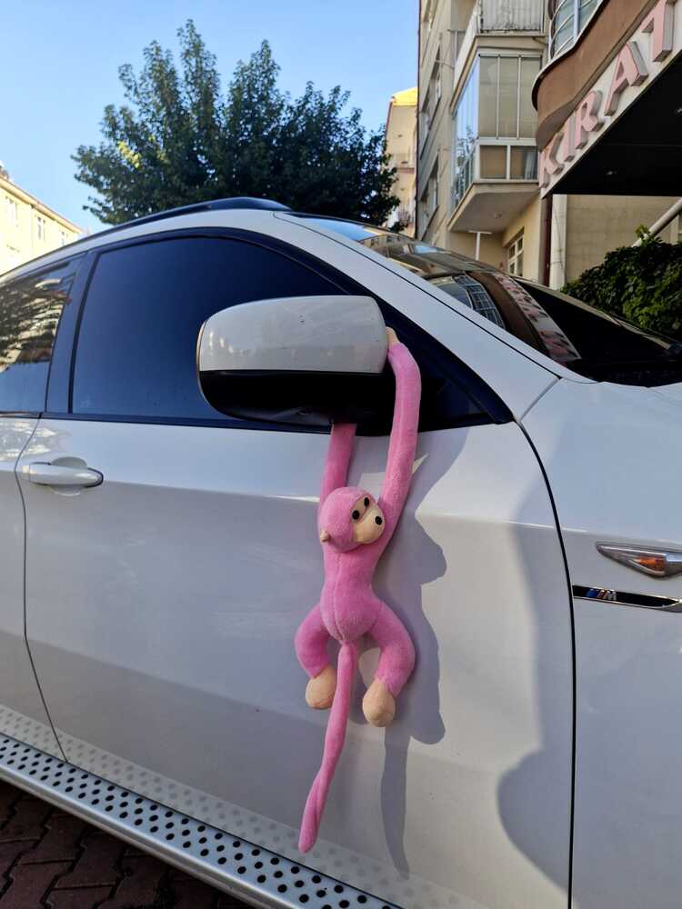 Pembe Maymun