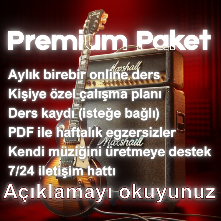 Premium Paket - Elektro Gitar