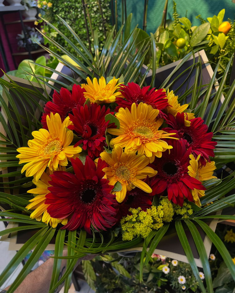 Renkli Gerbera Buketi