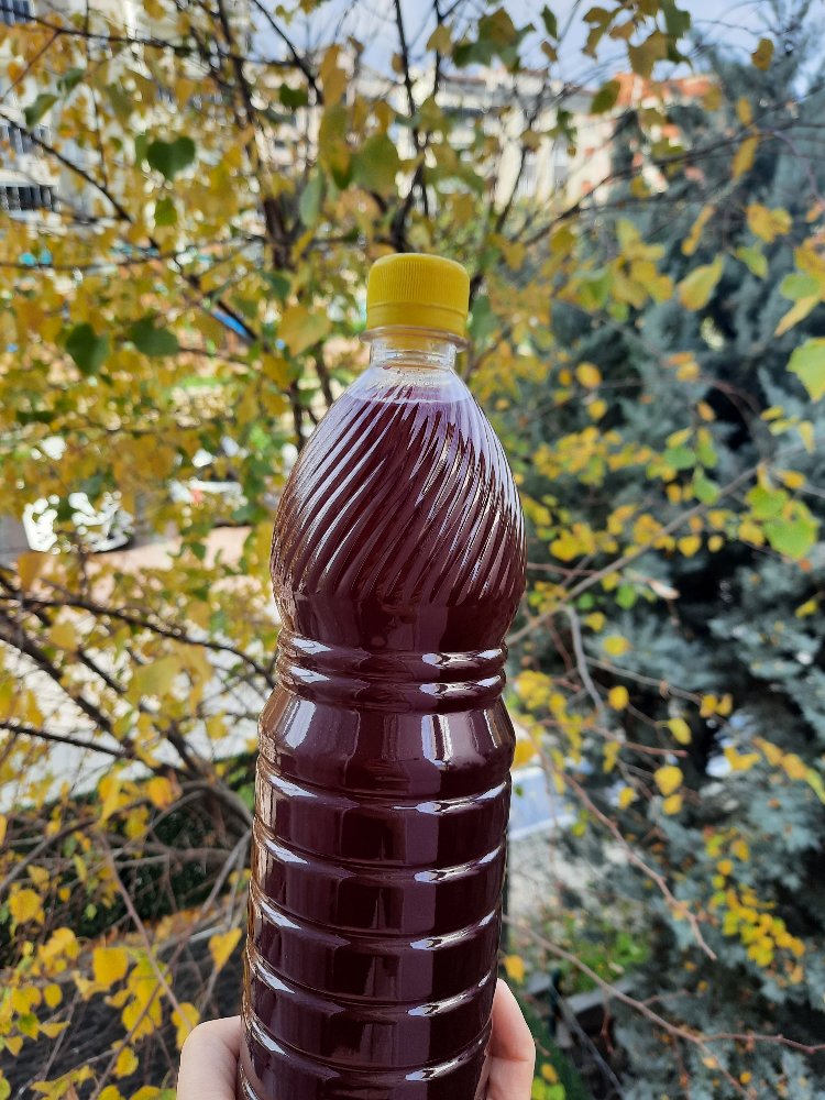 Ev Yapımı Doğal Fermente Acılı Şalgam Suyu