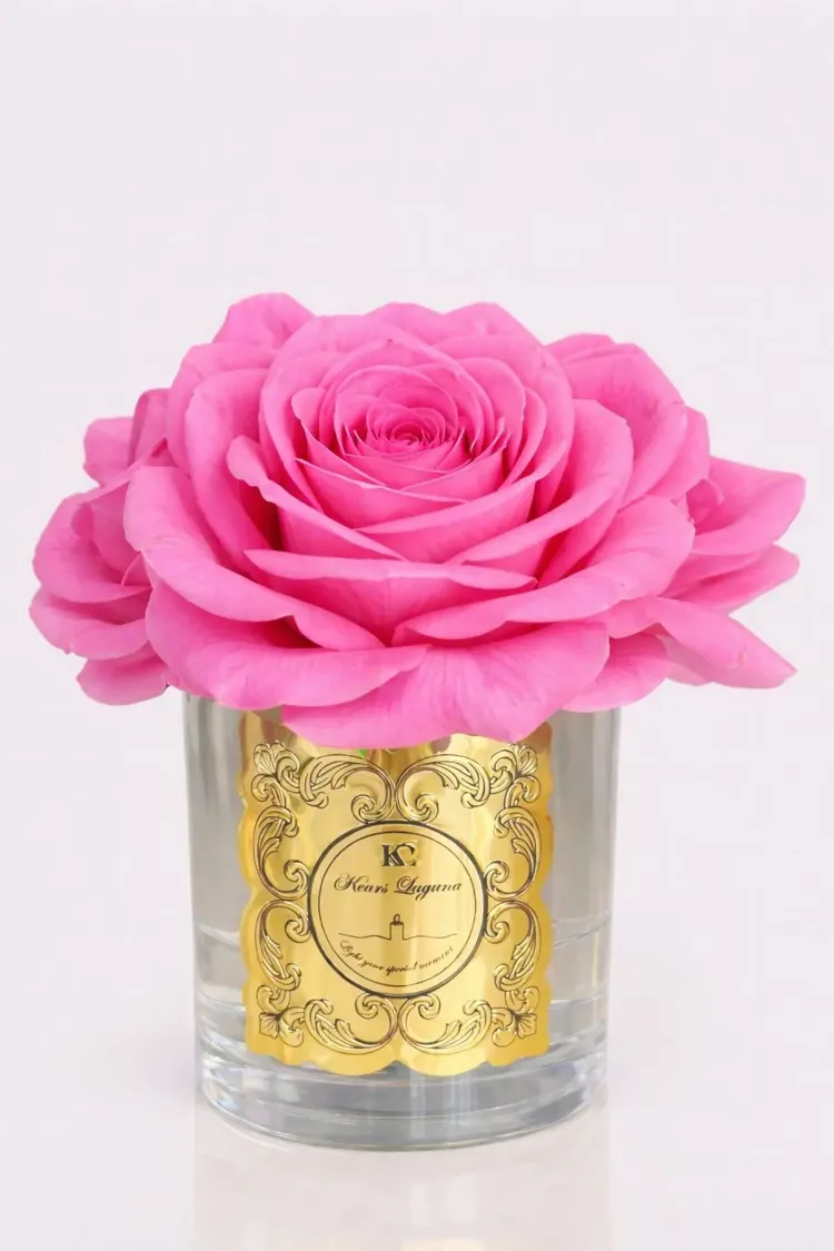 VELVET 3LÜ KOKULU İRİ GÜL ISLAK ÇİÇEK PEMBE,GOLD METAL KABARTMALI BÜYÜK ETİKET
