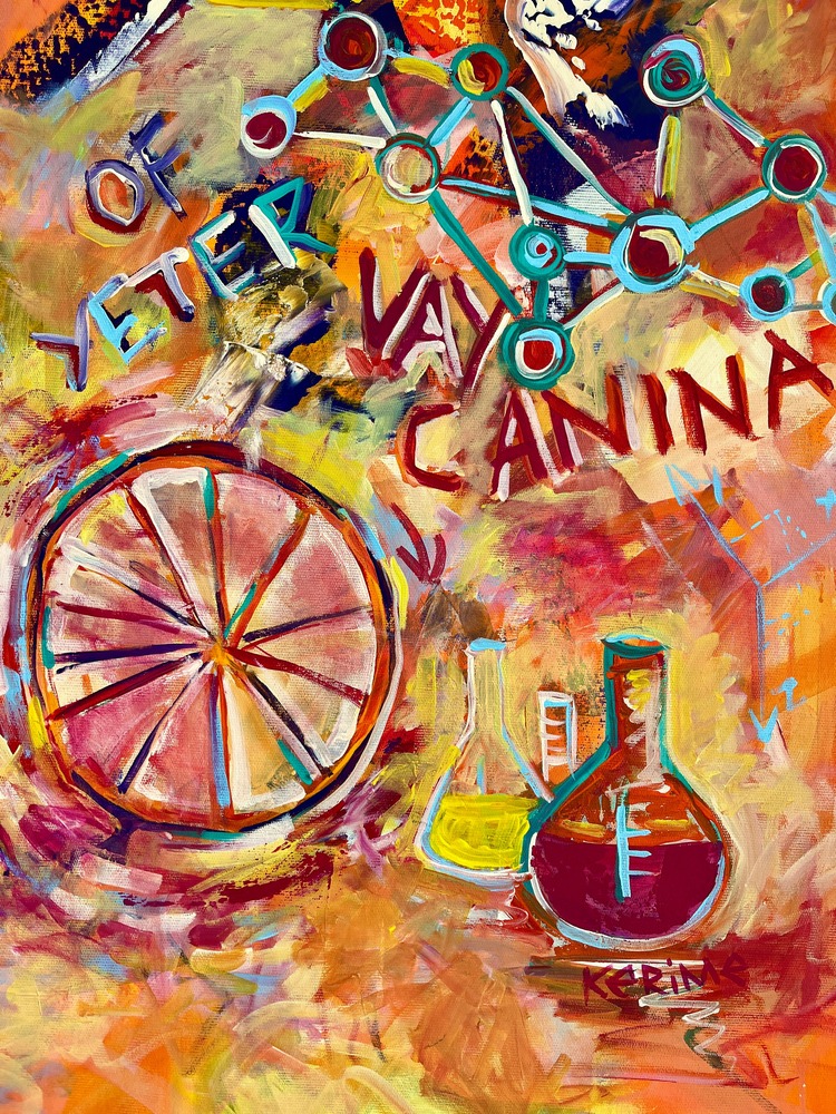 Vay Canına, 100*70cm