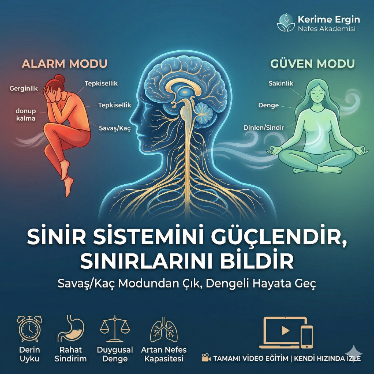 SİNİR SİSTEMİNİ GÜÇLENDİR SINIRLARINI BİLDİR (VİDEO ATÖLYE)