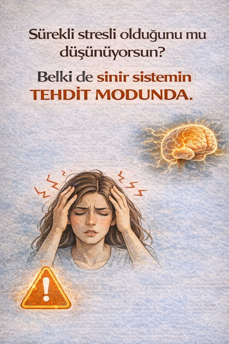 ALARMDAN GÜVENE SİNİR SİSTEMİ REGULASYONU
