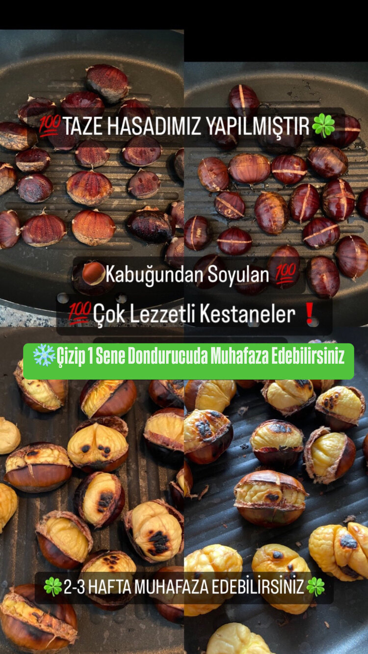ORTA BOY KESTANE KG