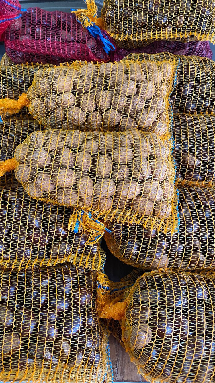 3 KG İNCE KABUK YAYLA CEVİZİ