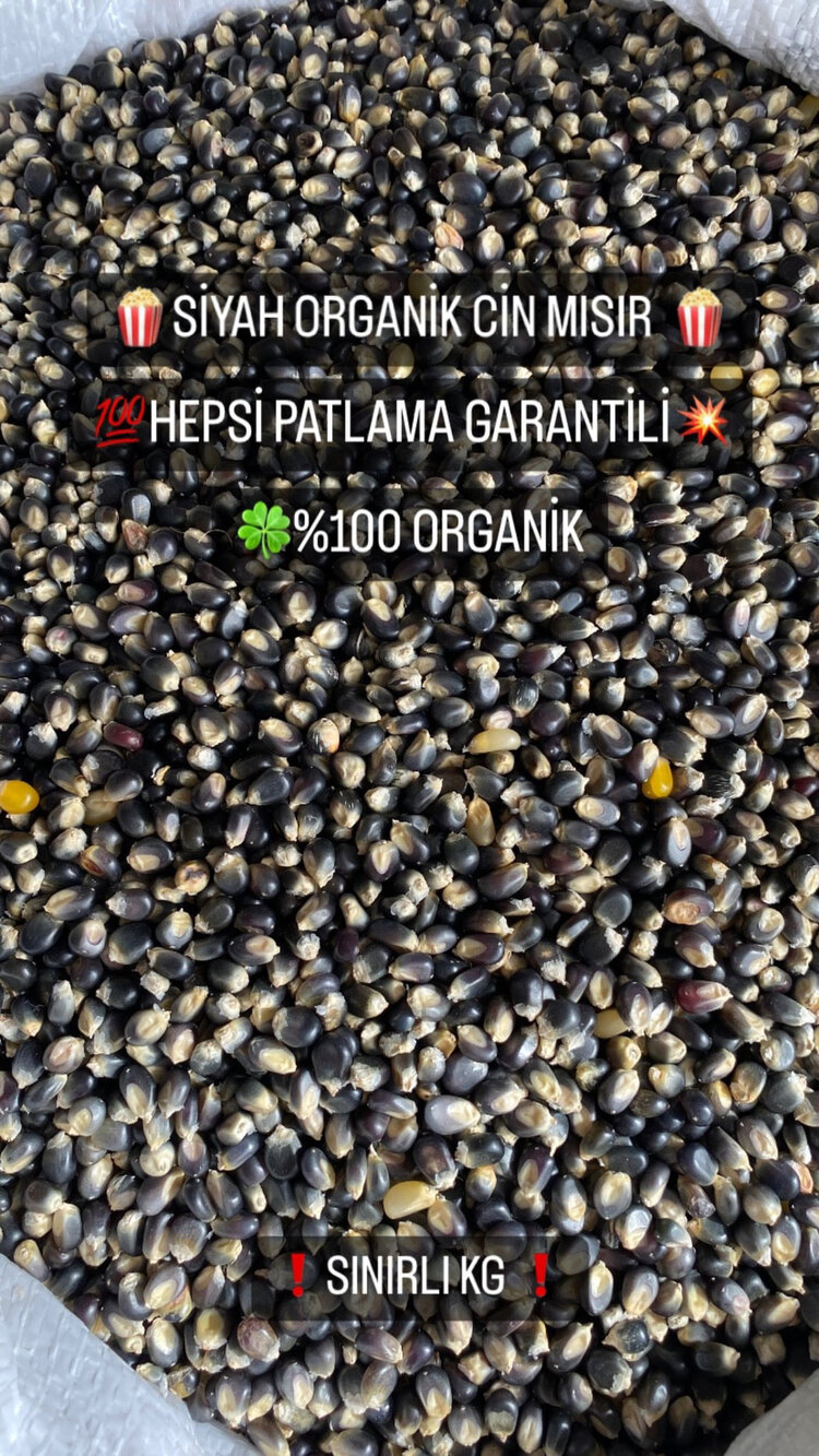 ATA TOHUMU SİYAH PATLATMALIK MISIR 1 KG