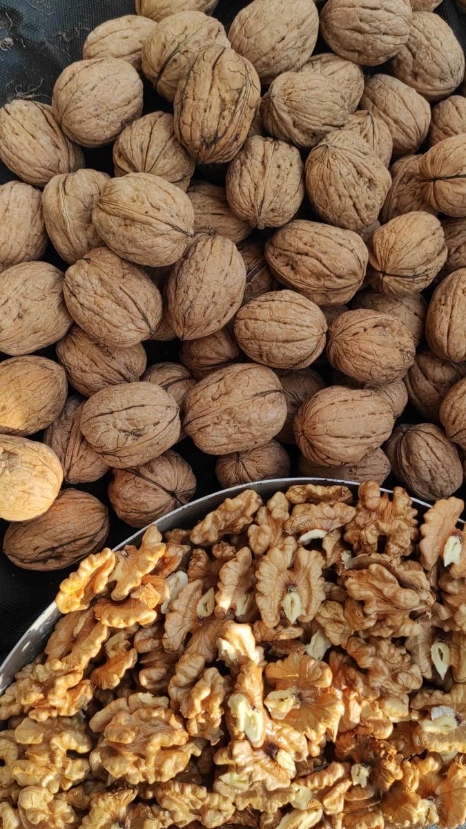 Leziz İç Ceviz 500gr