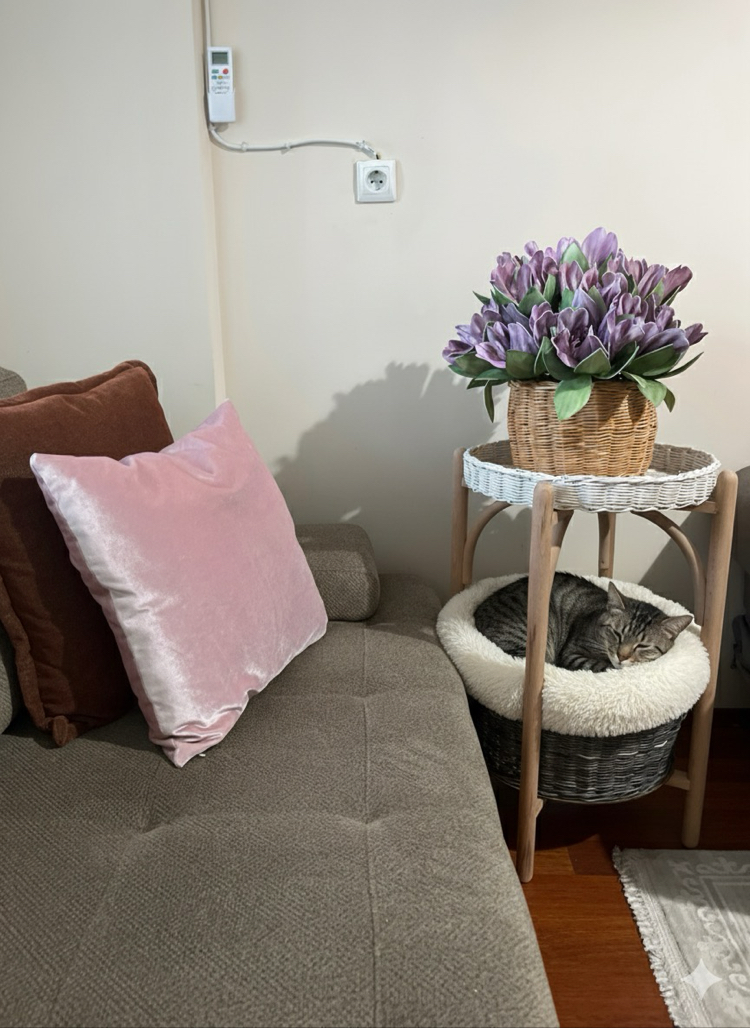 Kedi yatağı