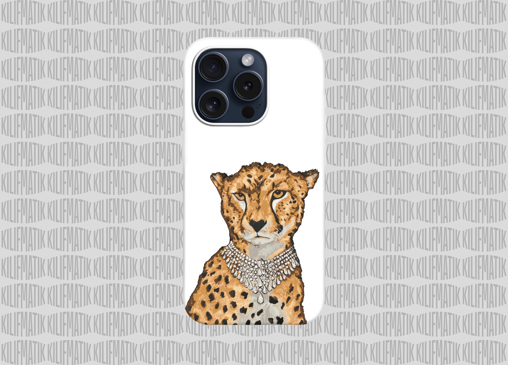 CHEETAH 2