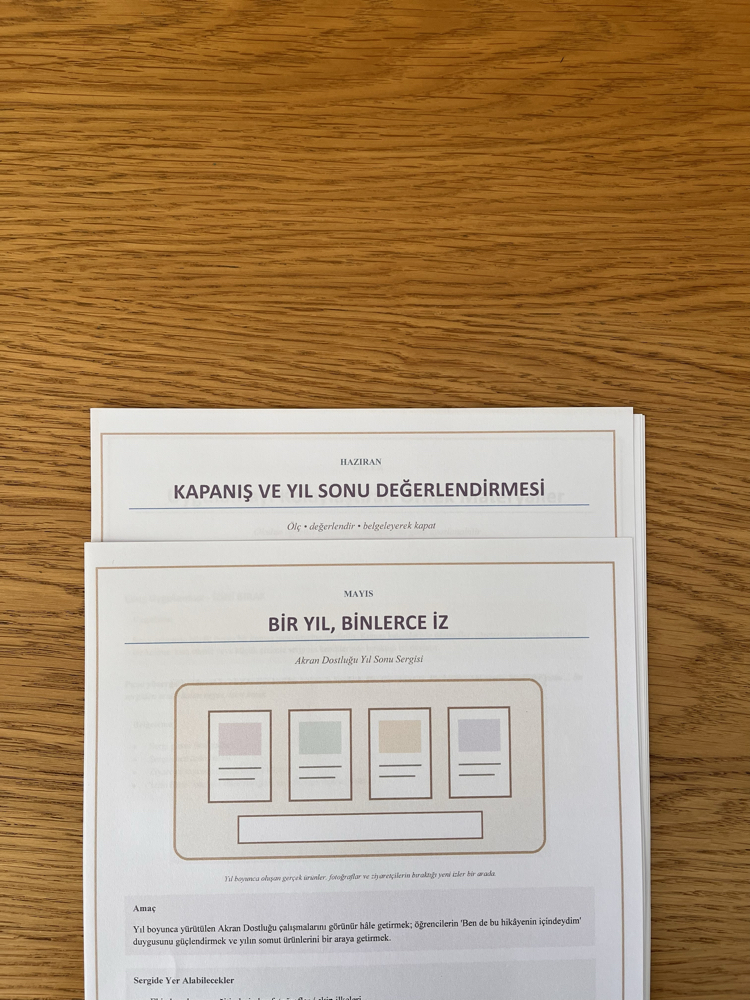 Dostluk Bağlarını Güçlendir Uygulama Kılavuzu