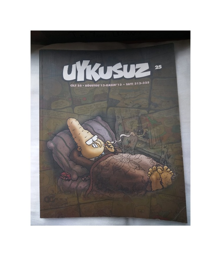 (ORİJİNAL) Uykusuz Dergisi Cilt:25 Ağustos 13 - Kasım 13 Sayı:313-325
