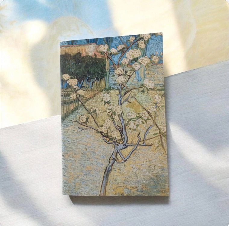Neva Defter 3lü Set